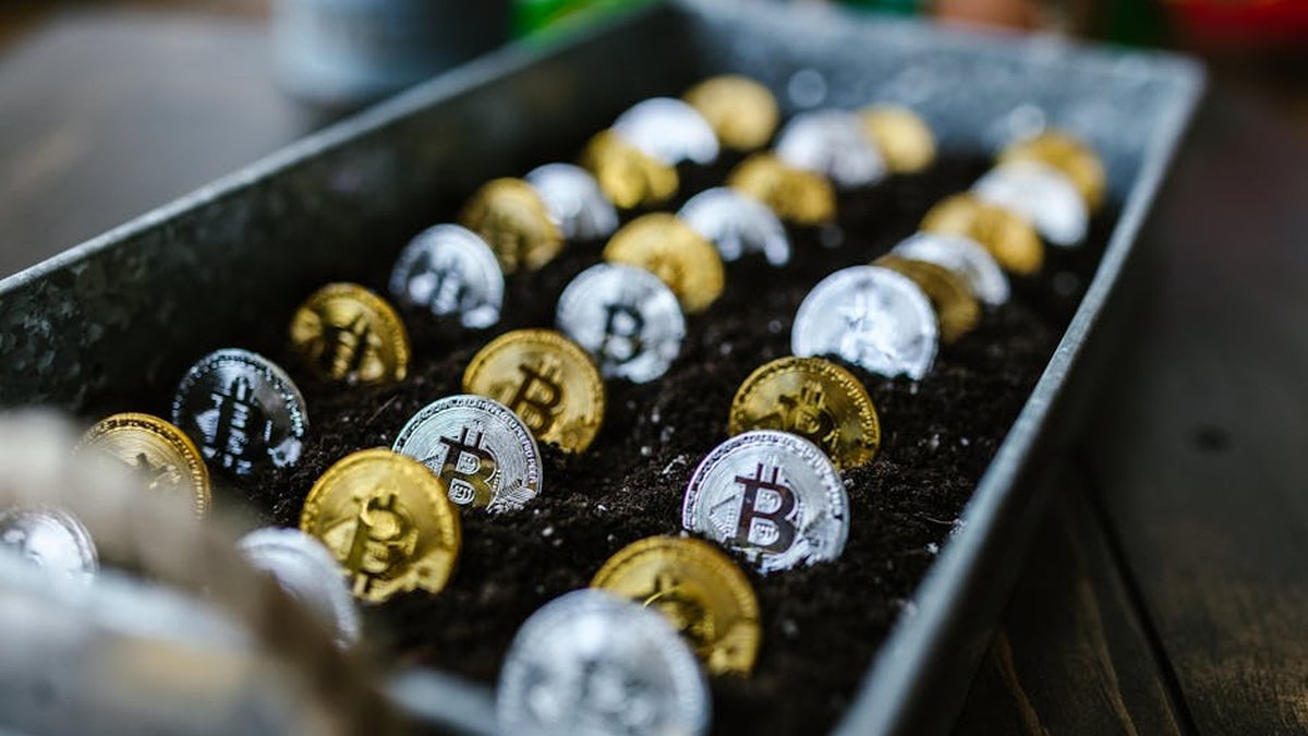 Gold and silver Bitcoin coins growing in soil, symbolizing investment and growth potential.